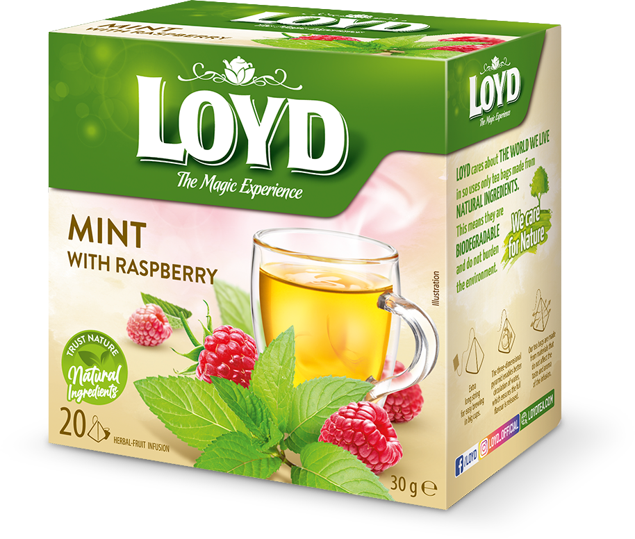دمنوش تمشک و نعناع 20 عددی LOYD