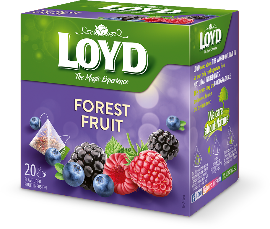 میوه‌های جنگلی 20 عددی LOYD