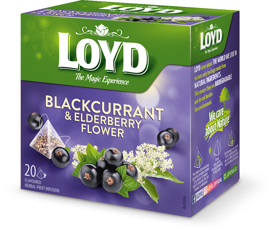 انگور فرنگی سیاه 20 عددی LOYD