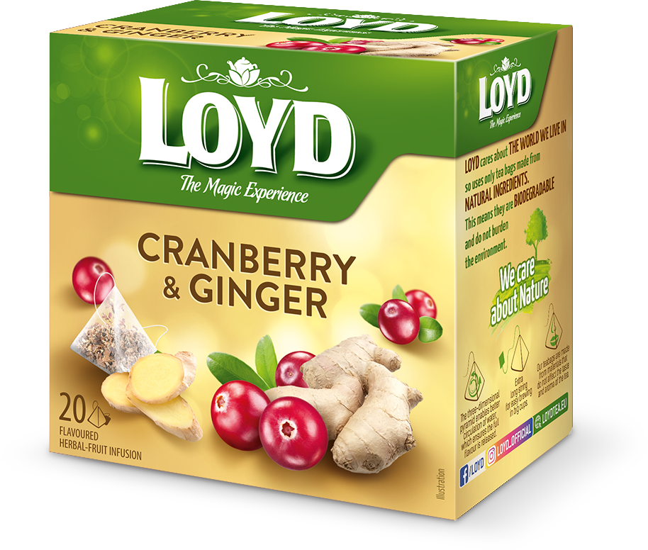 کرنبری و زنجبیل 20 عددی LOYD