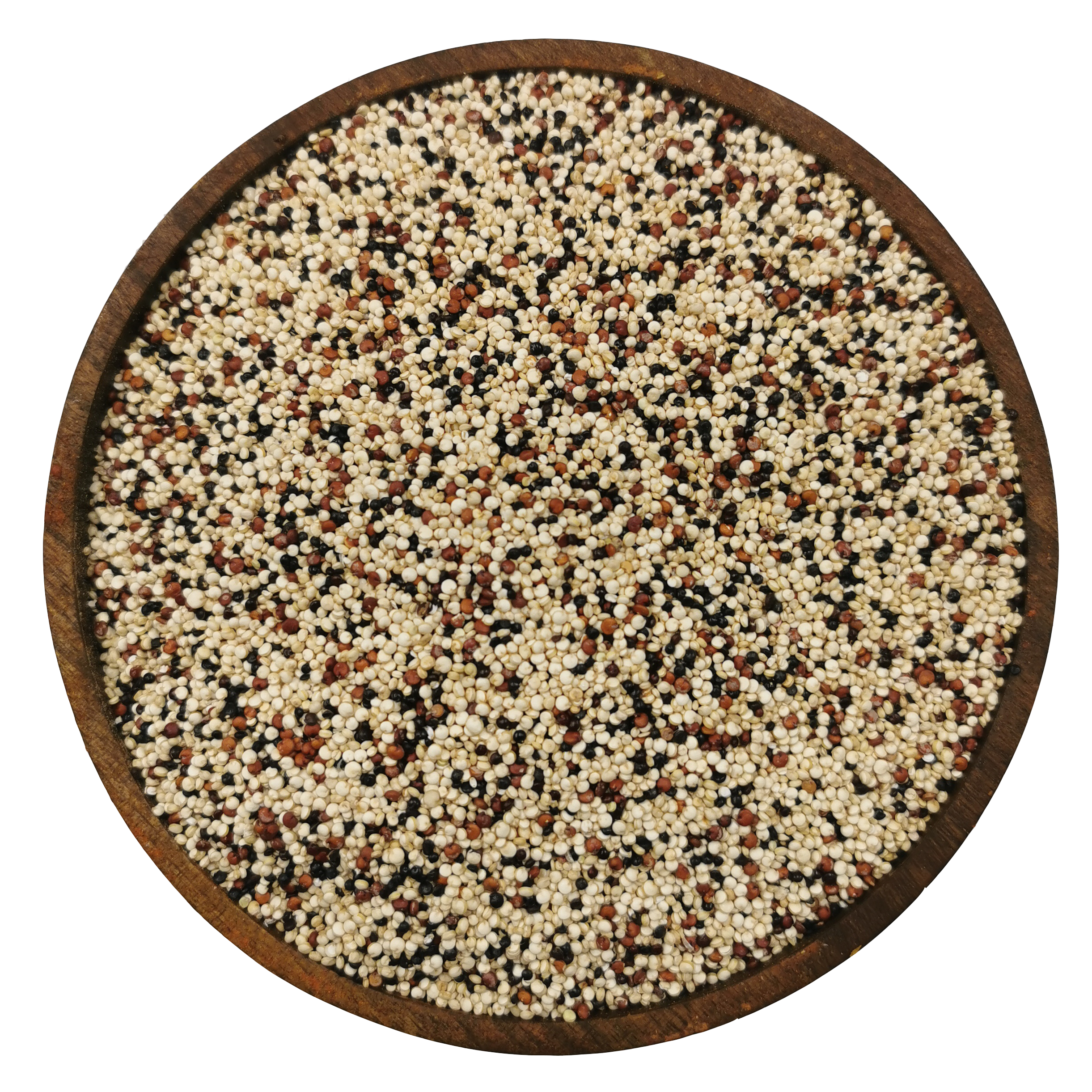 کینوآ رنگی