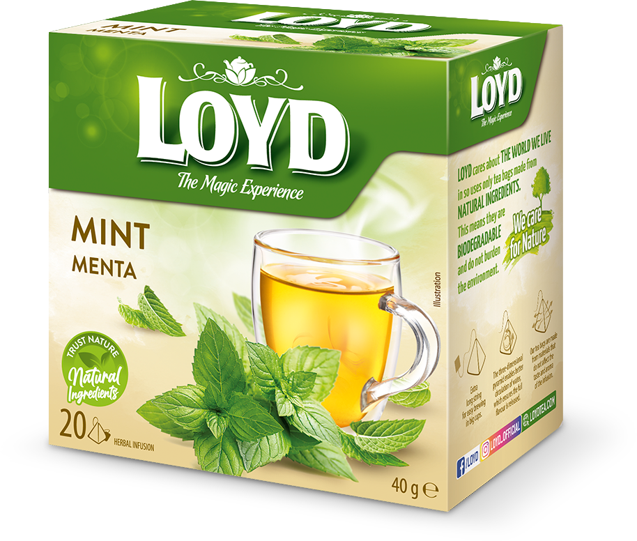 دمنوش نعناع 20 عددی LOYD