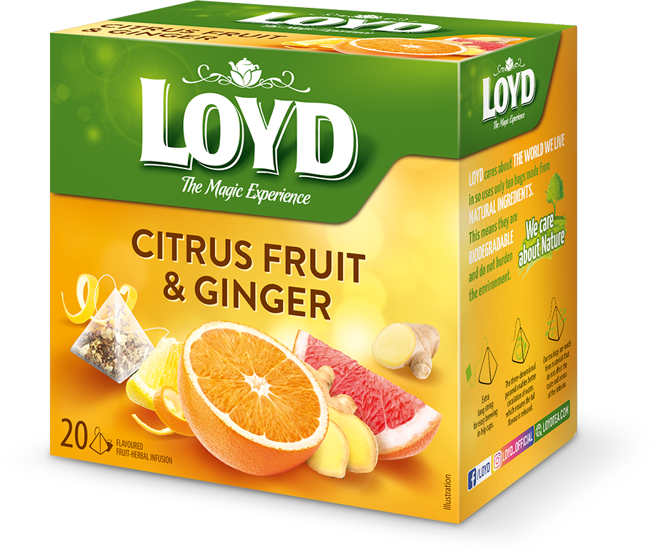 دمنوش مرکبات و زنجبیل 20 عددی LOYD