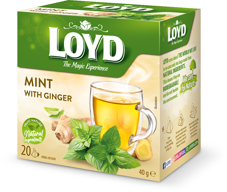 دمنوش نعناع و زنجبیل 20 عددی LOYD